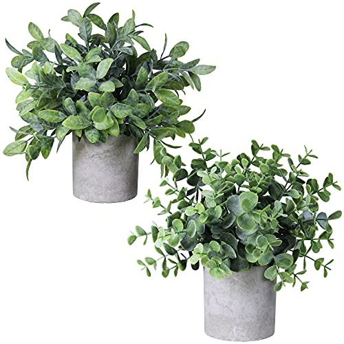 Plantas Artificiales Eucalipto Y Boj Con Maceta Cilindrica Verde