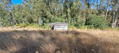 Tu Refugio Soñado A 35 Km De Temuco