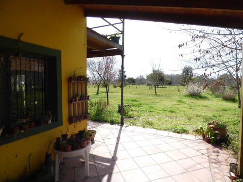 Imagen 16 de 30 de Quinta En Arturo Segui Calle 403 E/ 139 Y 141 La Catalina Dacal Bienes Raices