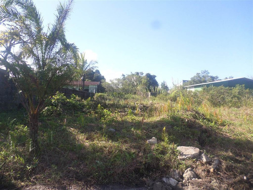 Imagem 2 de 3 de Terreno Em Itanhaém - Ita3125