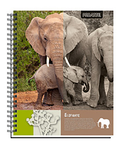 Pack Cuadernos Proarte Universal Nature 100 Hj 7mm X10ud