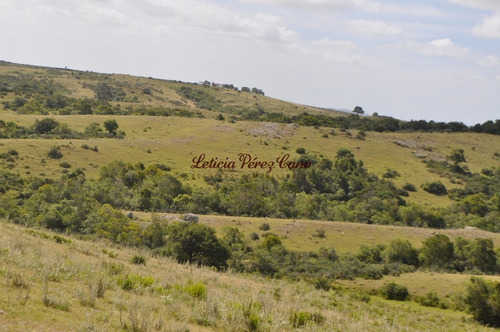 Imagen 15 de 30 de Venta Chacra 5 Has Ubicada En Jose Ignacio Proximo A Garzon