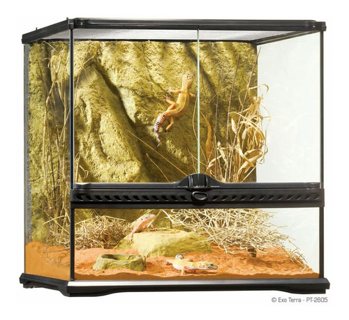 Imagen 1 de 10 de Terrario P/ Reptiles Insecto Small Wide Exo Terra 45x45x45cm