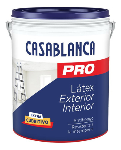Casablanca Pro Int Ext Latex Int-ext X 10