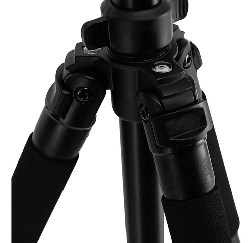 Trípode Gadnic Cabezal Intercambiable Fotografía Compatibilidad Universal Cámara