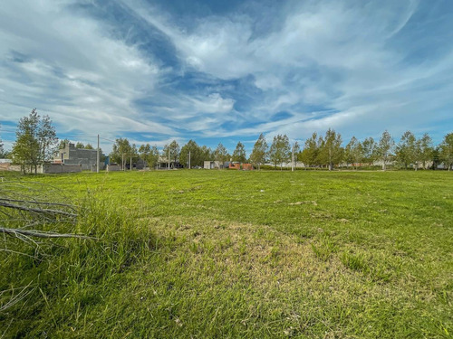 Imagen 7 de 12 de Lote Sobre Boulevard Principal Apto Comercial