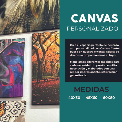 Cuadro Lienzo Canvas Mujer Sensual Mascara Cuarto 60*80cm