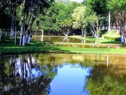 Imagem 3 de 30 de Que Tal Realizar O Sonho De Ter Um Paraíso Agora? Este Sítio Tem A Vista Cinematográfica, Rico Em Água E A Localização É Privilegiada Em Juquitiba/sp - 321 - 34692339
