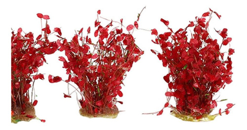 Planta En Miniatura Jardín De Hadas Macetero Fall Red
