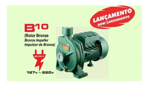 Bomba B-10 Thebe 1/2cv Rotor Em Bronze Agua Quente 127/220v