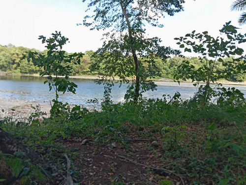 Finca Los Montones Venta , Hato Dama San Cristóbal