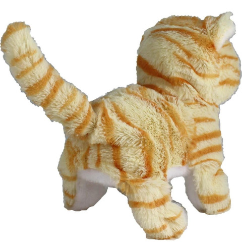 Gatito Mecánico Casanova Westminster - Rayas Naranjas