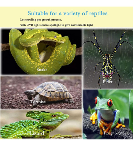 Lámpara Calefactora Uvb Uvb Reptiles Turtle, 9 Unidades