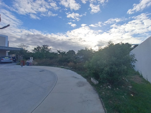 Imagen 4 de 30 de Terreno En Venta En Nortemerida