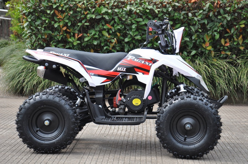 Imagen 4 de 9 de Mini Cuatriciclo Pagani Max 49cc