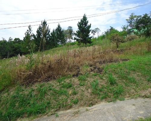 Imagem 1 de 5 de Terreno À Venda Em Juquitiba - 318 - 32982572