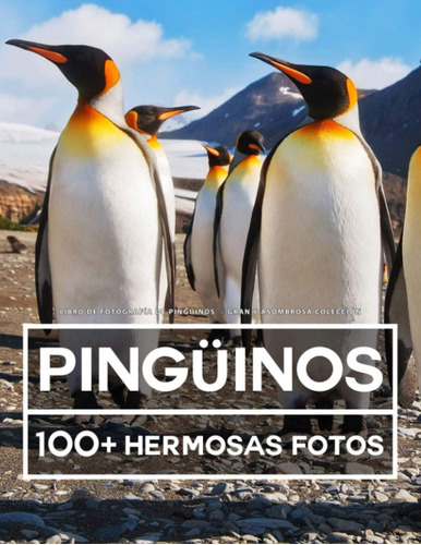 Libro: Libro De Fotografía - Pingüinos - Gran Y Asombrosa Co
