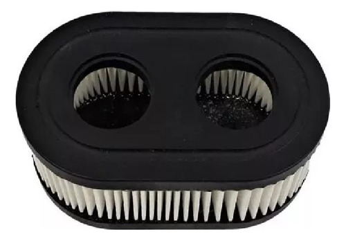 Filtro De Aire Briggs & Stratton Mod 550e 450 625e,ex 798452