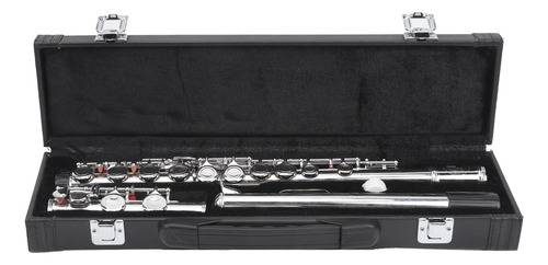 Flauta Escolar De Plata Para Instrumentos Musicales