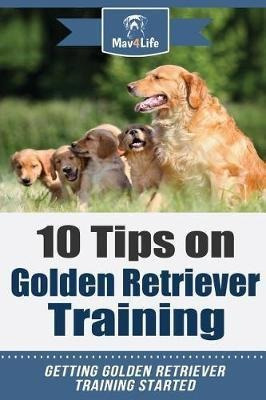 10 Tips On Golden Retriever Training : Getting Golden Ret...