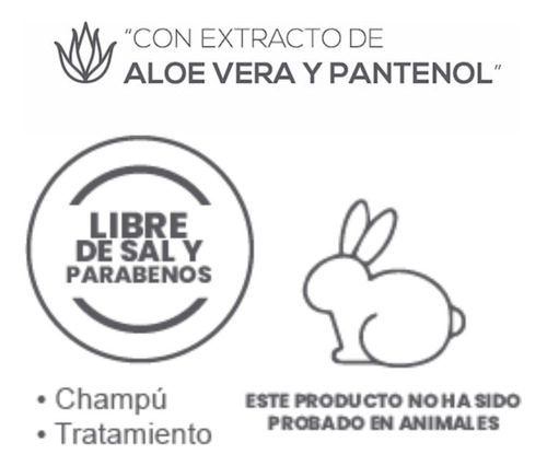 Shampoo Para Cabello Platinado Firenzze Profesional
