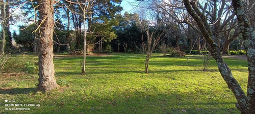 Imagen 18 de 30 de Casa Quinta Con Pileta Climatizada