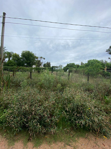 Terreno En El Tesoro