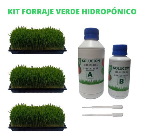 Kit Forraje Verde Hidropónico