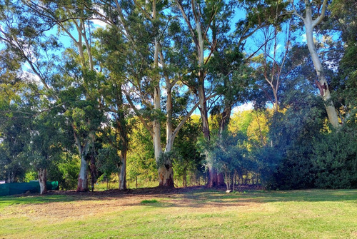 Vendo Lote Arbolado En Country Lobos - 1000 M2