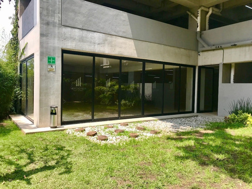 Imagen 12 de 14 de Departamento En Renta, Álvaro Obregón, Ciudad De México