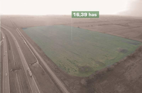 Imagen 7 de 7 de Excepcional Parcela De Campo De 16 Has. A La Venta Ubicada Sobre Autopista Rosario - Córdoba ( A La Altura De Roldán) - Pcia De Santa Fe