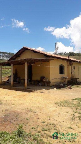 Imagem 11 de 15 de Sitio Em Oliveira - 2852
