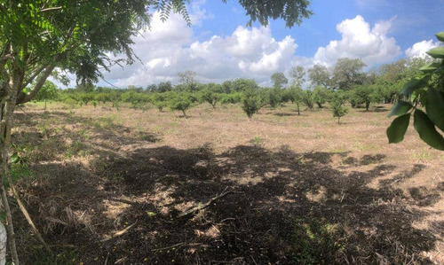 Te Vendo Excelente Finca En La Gira