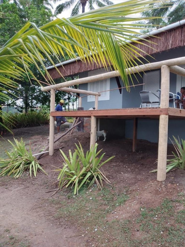 Sitio - Akx01 - 32014508