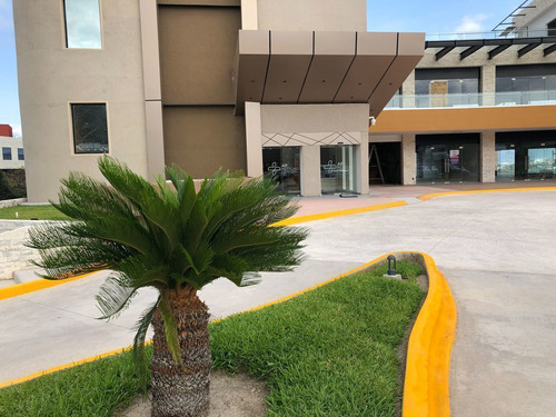 Local Para Oficina En Plaza Alpha Ubicación Estratégica