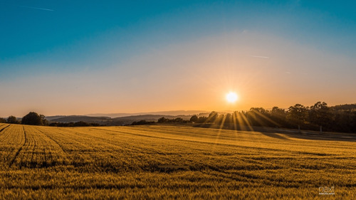 Descubre El Potencial De Este Campo Agrícola En Alejandra, A Solo 5hs De Rosario