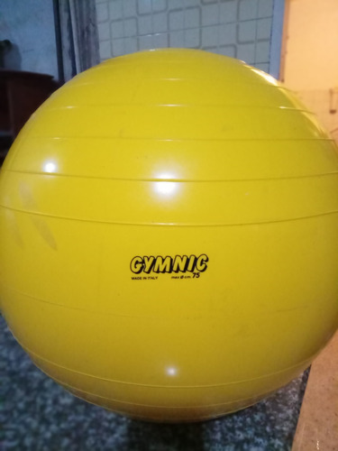 Balones Terapéuticos Marca Gymnic 