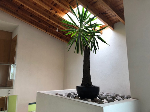 Casa En Venta Misión Concá