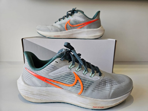 Nike Pegasus 39 (Usado)