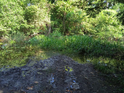 Venta Rancho 94 Hectareas El Otatal Alamo Temapache Veracruz