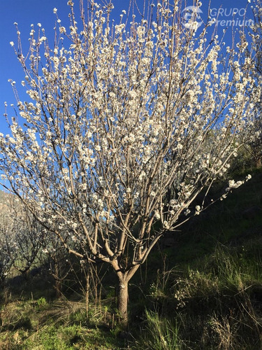 Parcela En Venta En Alhué 45,26 Ha