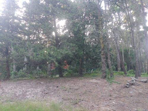 Imagen 2 de 4 de Lote C/ Forestación, Muy Bien Ubicado, En Mar Azul, Apto Para 2 Unidades