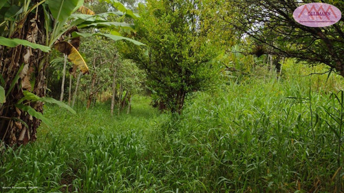 Imagem 1 de 15 de Chácara Para Venda Em Suzano, Ipelândia, 3 Dormitórios, 1 Suíte, 3 Banheiros, 1 Vaga - 0890_2022_2-1409469