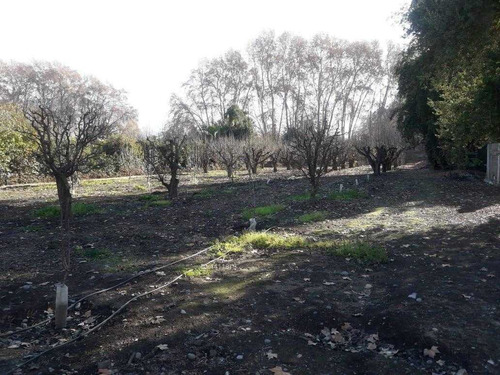 Imagen 3 de 6 de Terreno Pleno Centro Isla De Maipo
