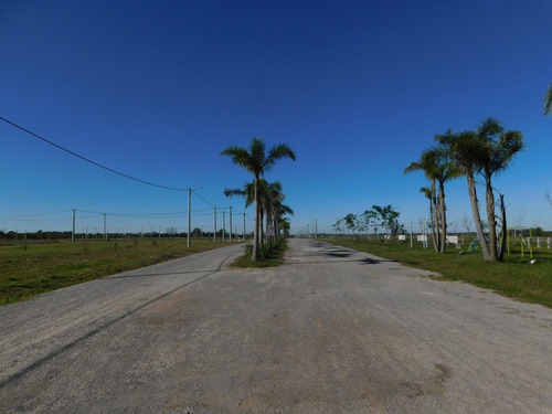Venta Lote En El Lazo En Exaltacion De La Cruz