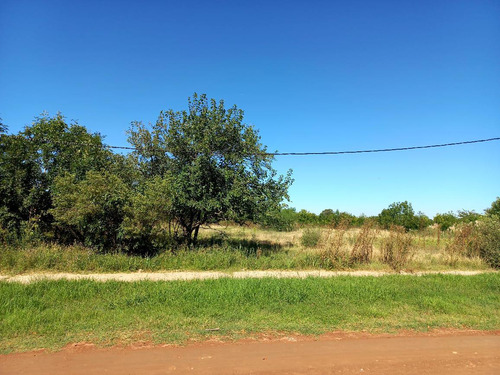 Campo De 4,2 Ha En Capilla Del Señor  