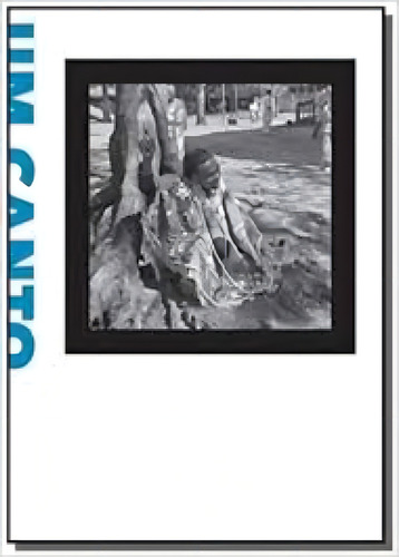 Canto, Dois Sertões, Um: Bispo do Rosário e os 90 Anos da, de Marcelo Campos. Editora AZOUGUE, capa mole em português