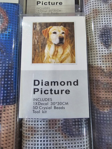 Pintura Por Diamantes Kit Completo 30x30cm Perrito Labrador
