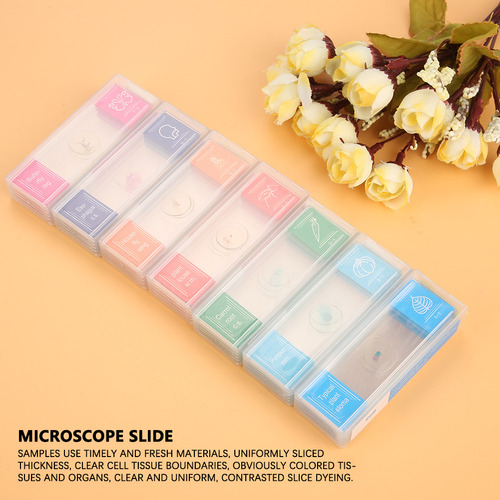35pcs Muestras Diapositivas Microscopio Slide Lab Spampímene