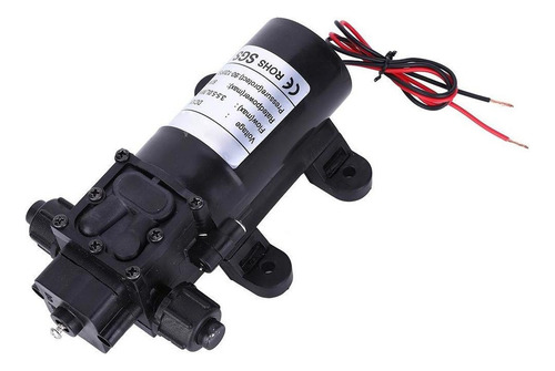 * Bomba De Agua Autocebada 12v 80w 5l/min Bomba De Diafragma